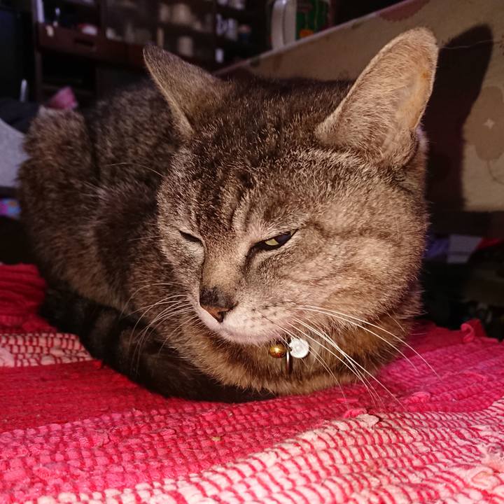 C17dc960 281c 4ba0 bf8b 3d51af79d6aa 1559936387959