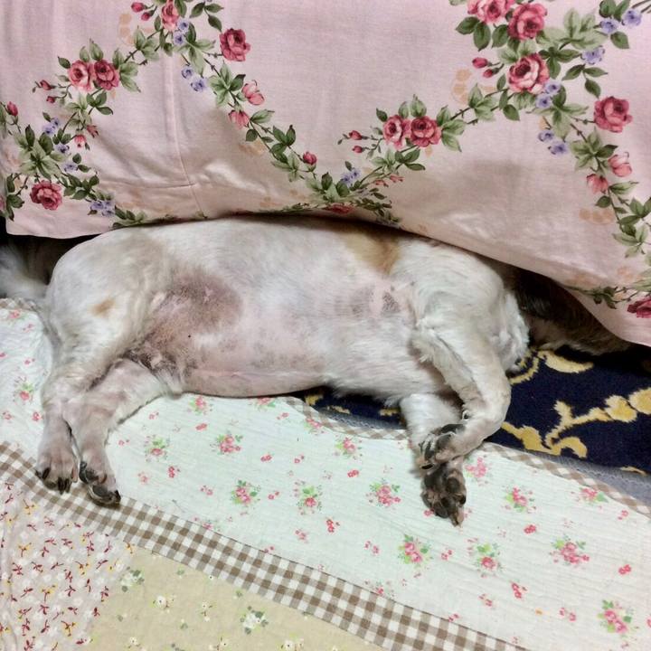 C17de22d eef9 4616 bb5b 8a5b99f2ad46 1561156212752