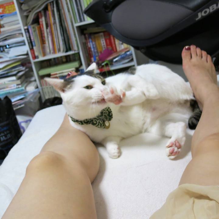 C17de936 1d6c 46a5 83e3 5bbbe7a933e4 1539512656688