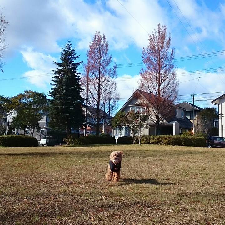 C17e2ef0 80b1 4010 bb55 c832d7f6c130 1512619642417