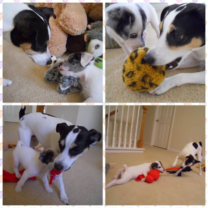 C17e39af ac7c 43a9 a643 06b0ad62a7c4 1550701224501