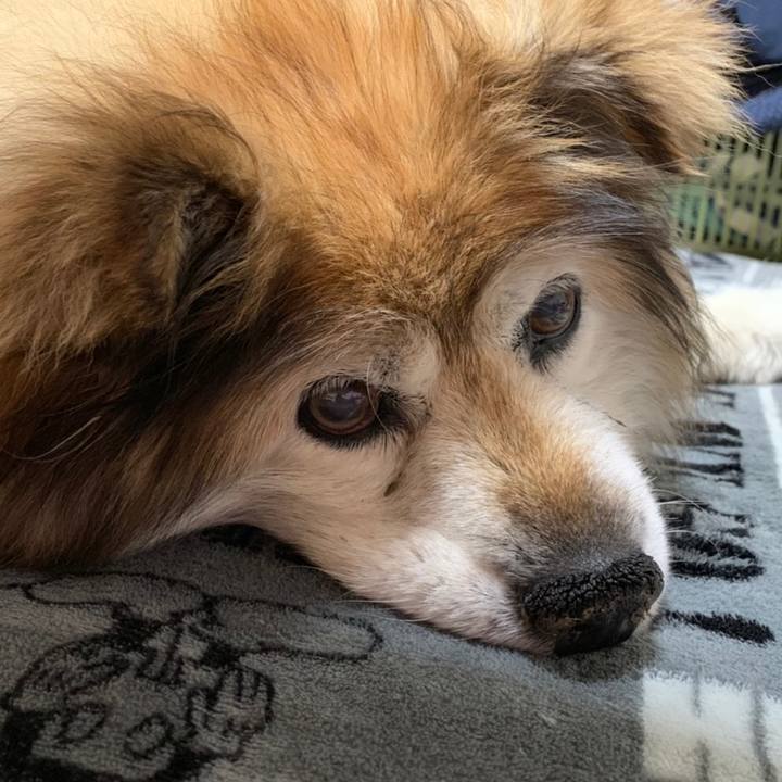 C17e3a78 ec57 4e66 9a63 f517ddffb70b 1607043643862