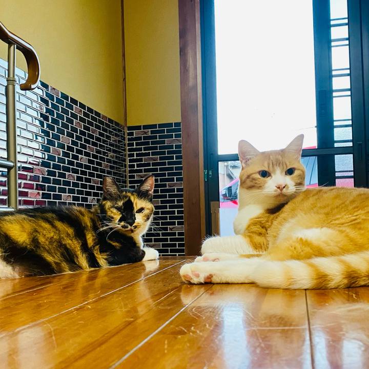 C17e8edf a238 4e6d a105 c155c4bd9604 1659300615254