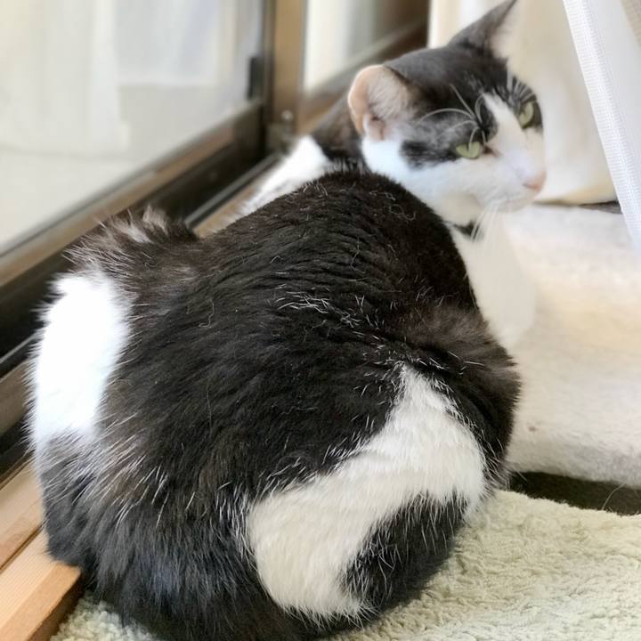 C17e9bd3 f7d7 4643 b14b c10c4fdcd83c 1538359441132