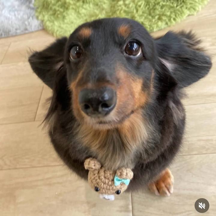 C17ea1f6 70ba 44a0 bd5c 7054c0b9b6a1 1759627621940