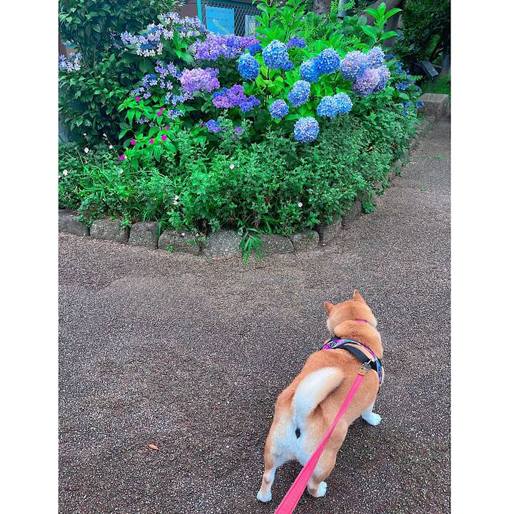 C17ec712 360f 4eea 8916 84d473894aca 1687424256446