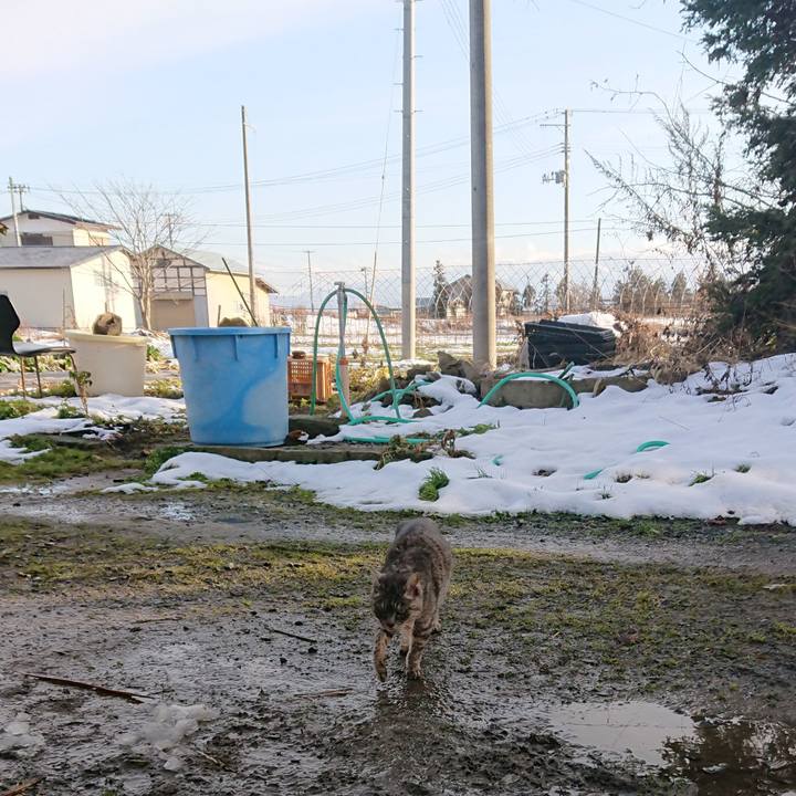 C17ee5c4 0fb7 49bb bef9 ee012e27f5d3 1577601566858