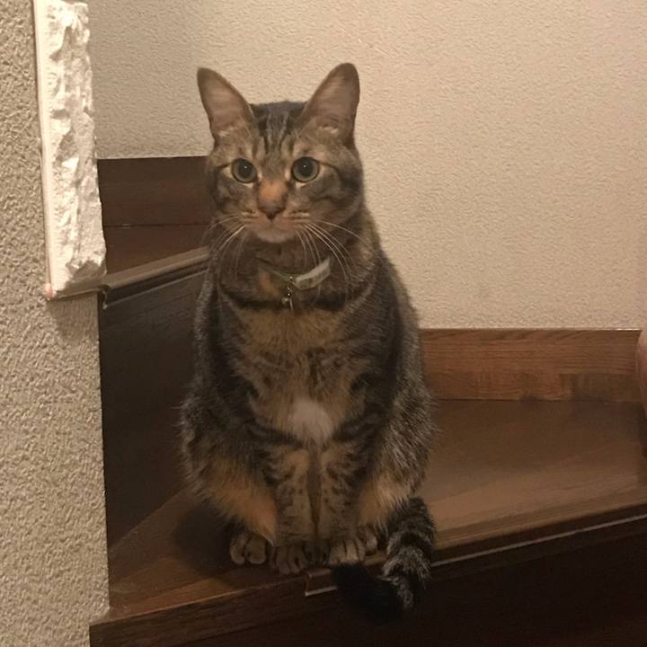 C17f0e6c cfd7 4145 aa6a 602fc281412e 1583333693020