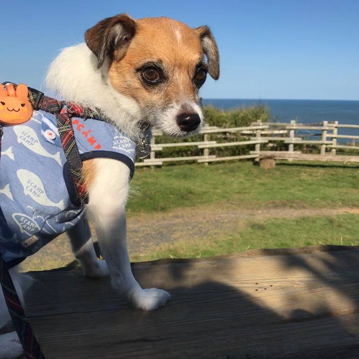 C17f15a3 71d0 4e9f b320 c2f7fb8093d5 1531690995977