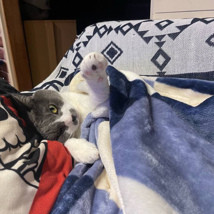 C17f2297 32d4 4dc2 af31 711eaea55e6a 1673960562162