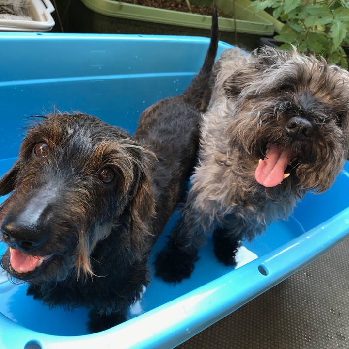 C17f2b60 e852 4b8e ac88 ef20b4d1448a 1531736382567