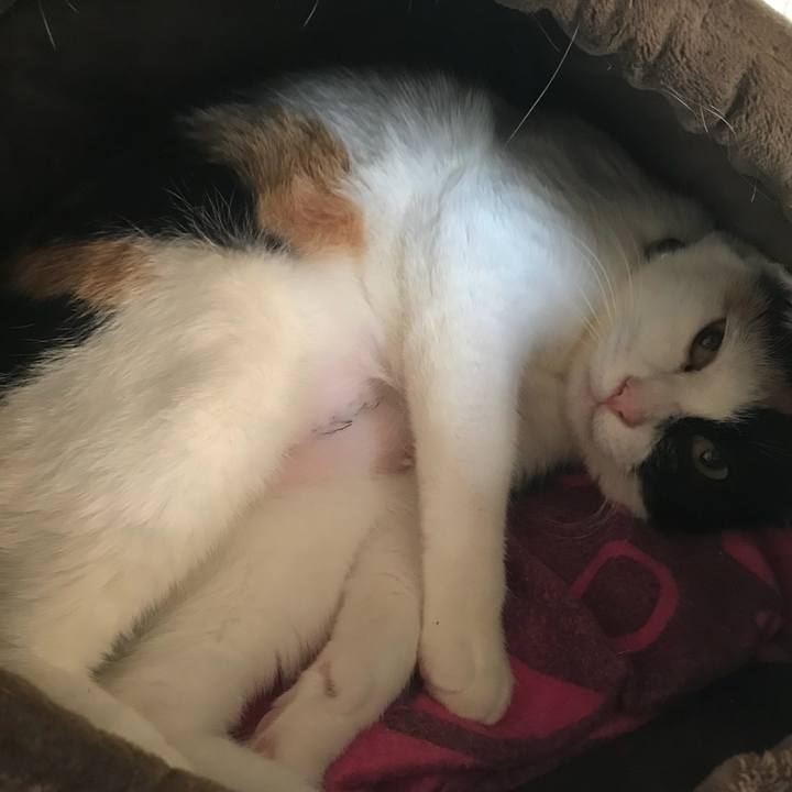 C17f4230 e8bc 473b a2f9 22fc663f4bd7 1519637356680