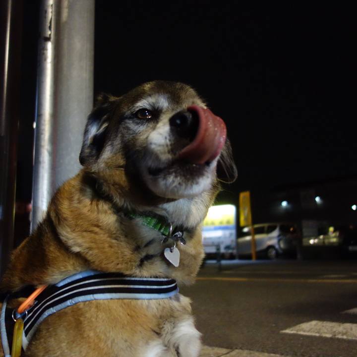 C17f4edc a330 47af 81ce 7ac6b7496d58 1553511063953