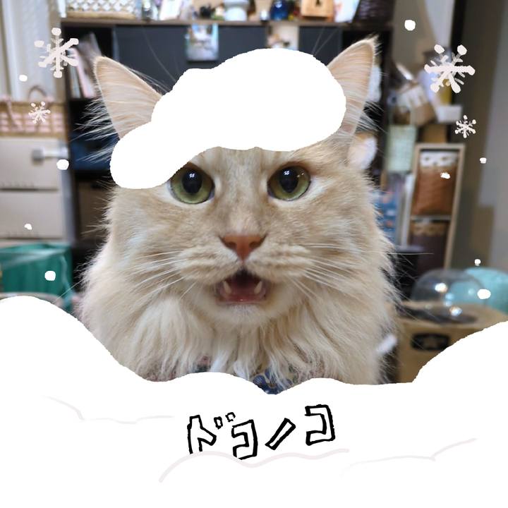 C17f8e65 111b 4266 9884 95df9565ffa2 1772103897436