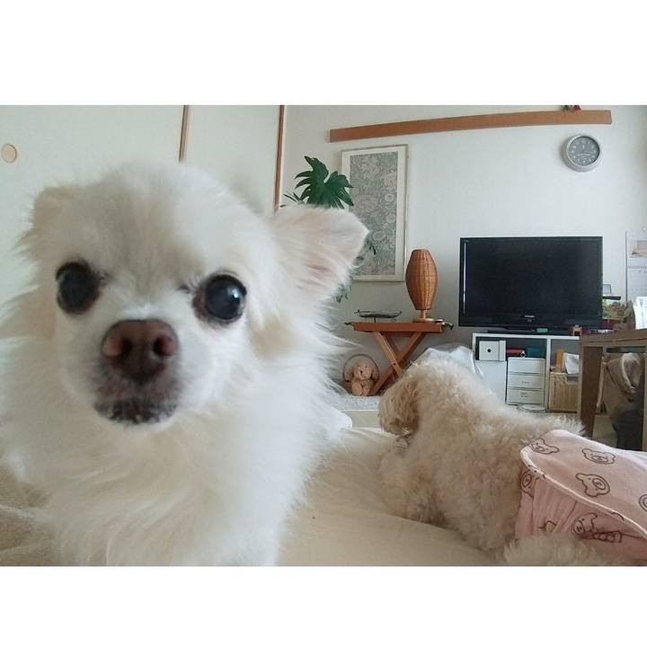 C17f919f 611a 42f8 8fbe 15aad8056a3f 1656138093089