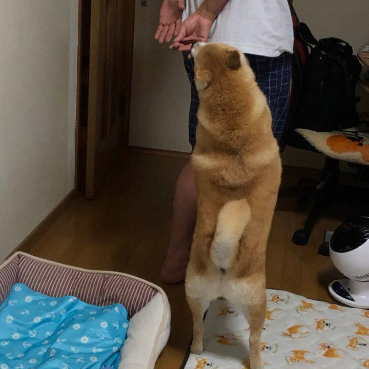 C17fab9c 13c5 45fa 8bfd 5201effa9c52 1567333004367