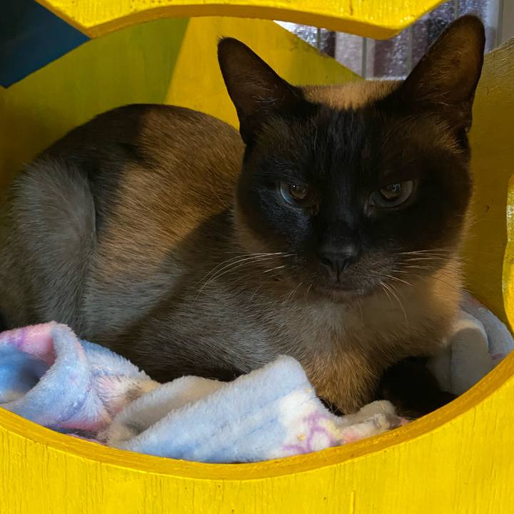 C17fb62f 660d 4ee9 ba91 a14d03f7ab96 1747098726106