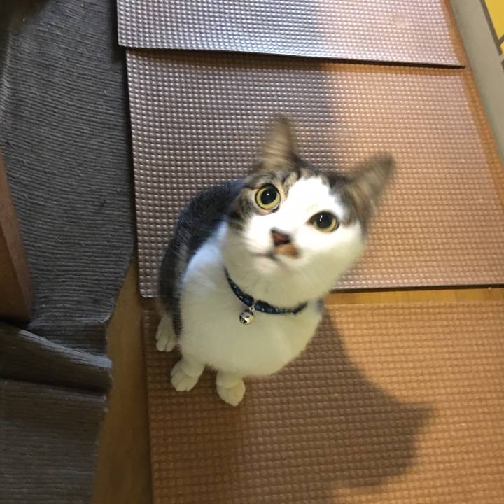 C17fe76f b7c7 493d bcbe 4e40af7687ad 1544869105807