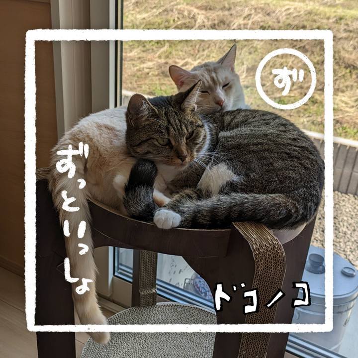 C17ff882 7d82 474b ad8c 712e28487010 1685959361819