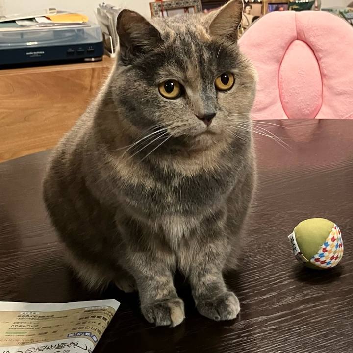 C1800c50 abfd 456b ac01 1e9556b5459b 1765586233737