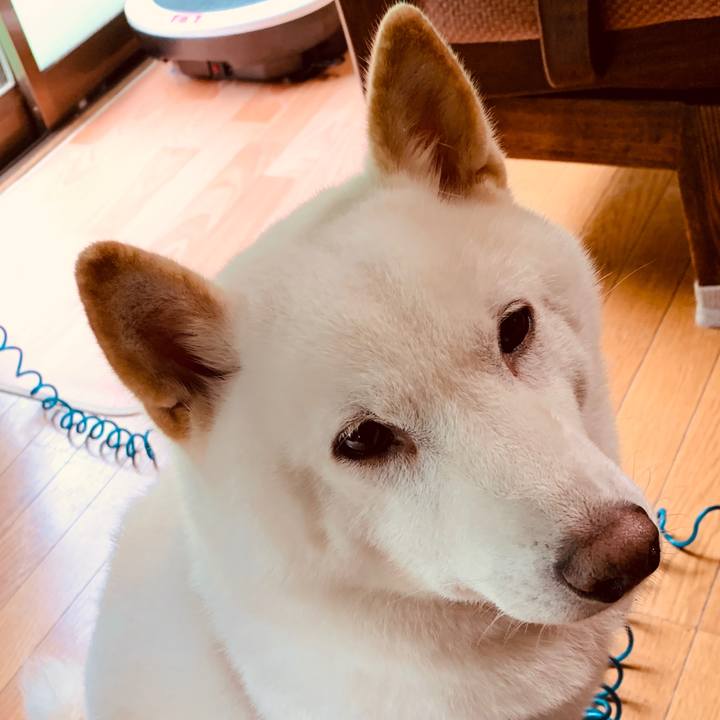 C1801c1e 6e16 4769 892e 00066a0ab2e4 1599968631519