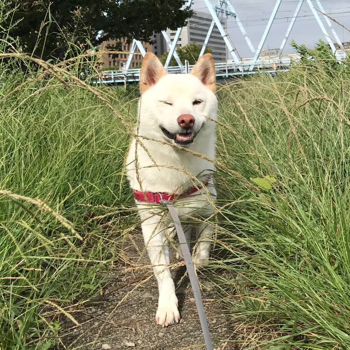 C18024c8 8ea6 49d0 abd1 da894dda73ac 1536712088962