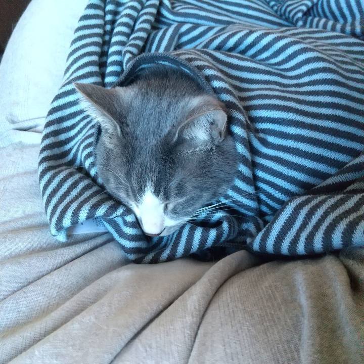 C1808dbb ea86 4738 8213 96b9db0d3f4d 1639878690842