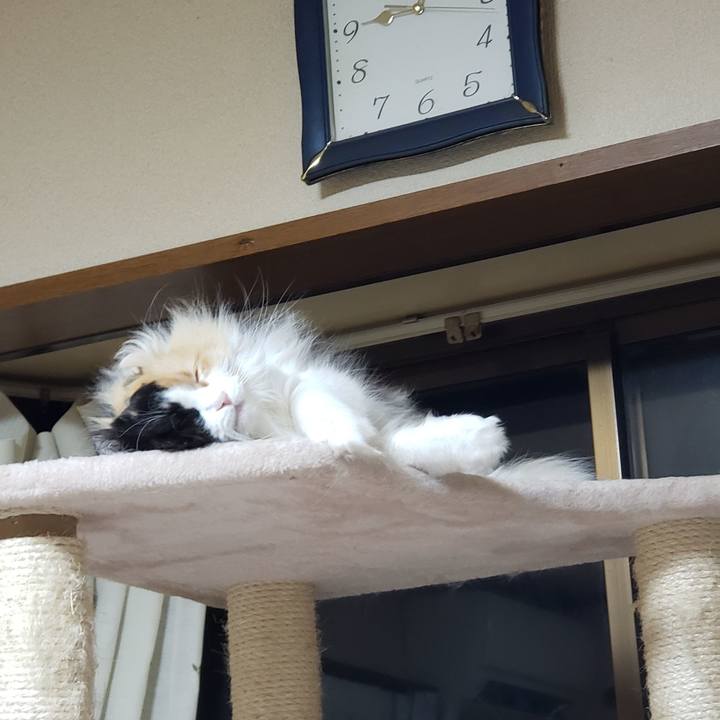 C180a0a8 bdc9 4397 bdc2 9166a839a7ae 1645449308060