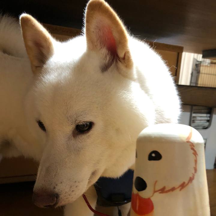 C180ad44 377a 4b20 b4f4 aab91d1afe42 1629970873431