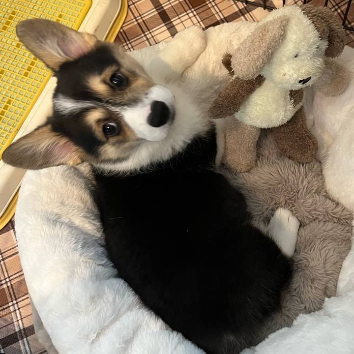 C1810168 eb80 4a4e ac59 507527e1ec46 1768640328846