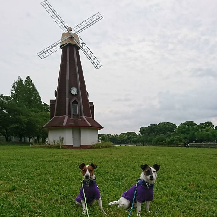 C1812170 8e38 4a9d a69d eb49e1cd73b9 1590878096615