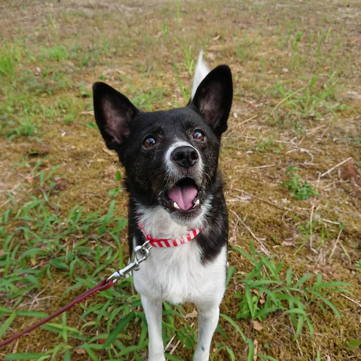 C1813f7f 54cf 4644 acc0 f5d68db2f5cd 1535670006931