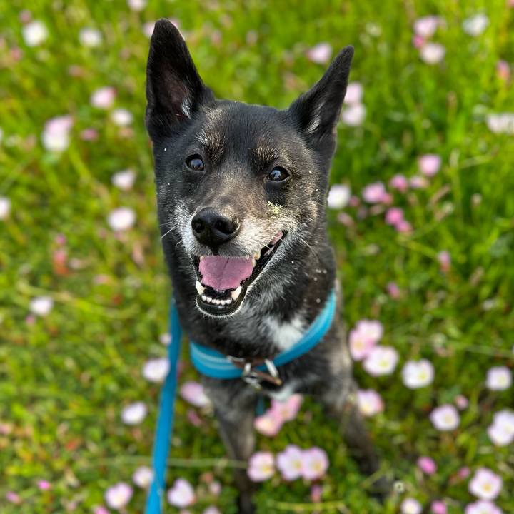 C18152cd 9ccd 44e9 ba80 d5ac5219b58d 1685024309819