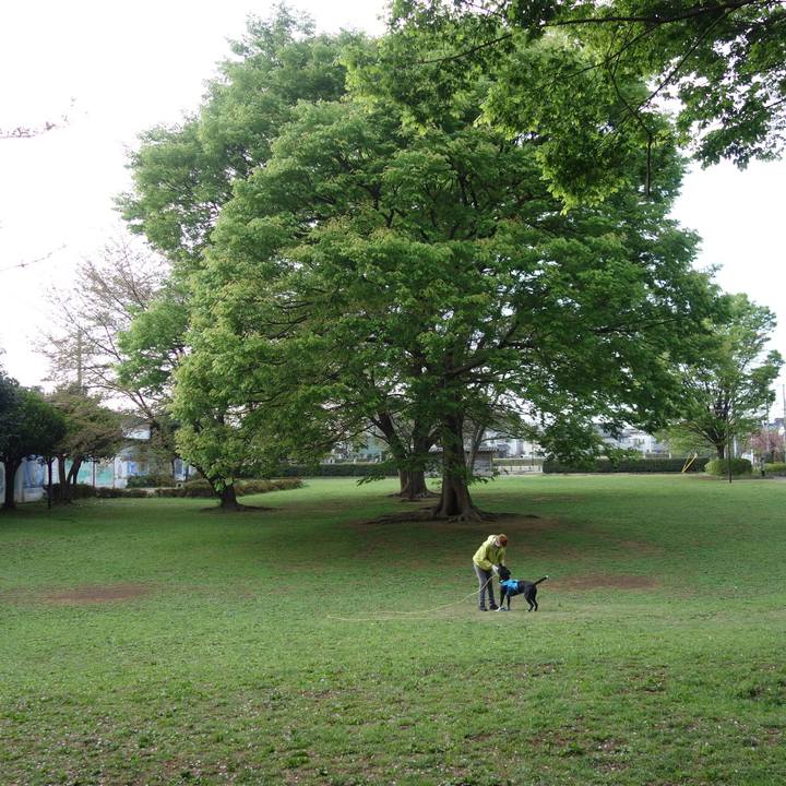 C1819ea5 3bb6 47c4 927a bffff20d03d0 1618100770007