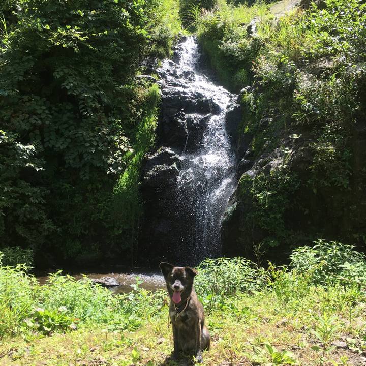 C181a079 397d 42d6 aa6b 9b51b5fe06c8 1535765464337