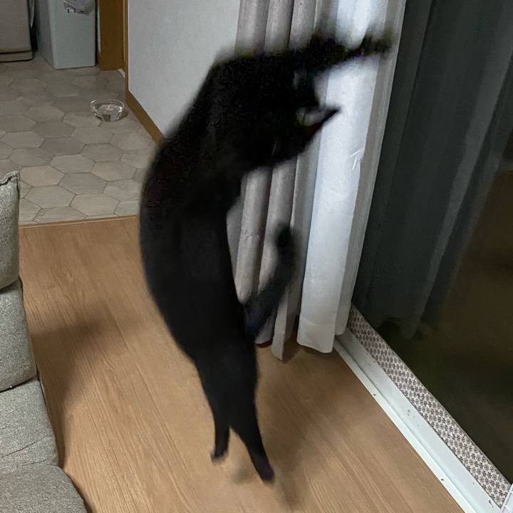 C181c10c c36e 4000 a5b0 b526c7ffc33e 1626175536284