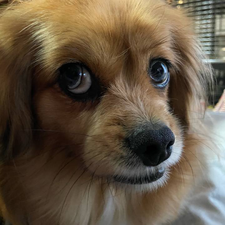 C181e969 b91d 4c77 b8f6 26a88709ea9c 1618262652256