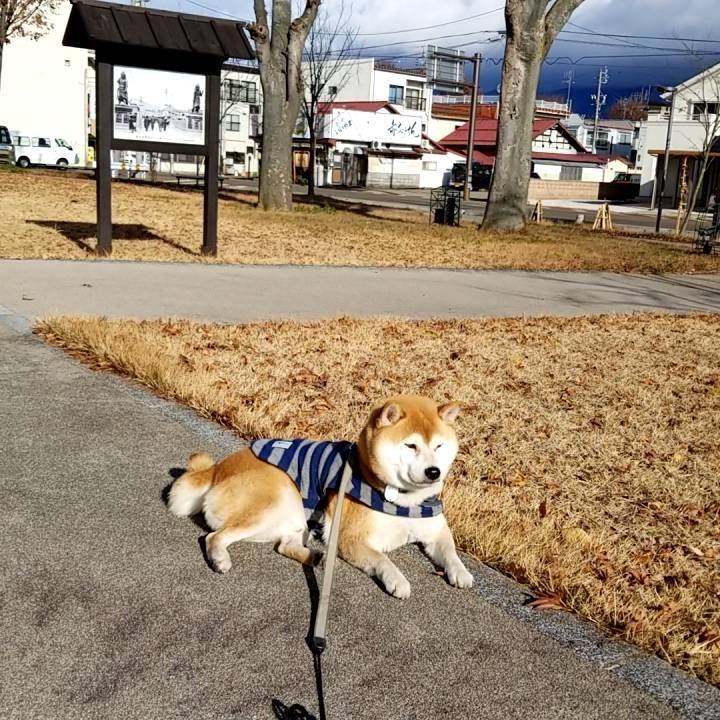 C1820b08 458e 4cdd 972c 8e0a5a599fe8 1576124891777