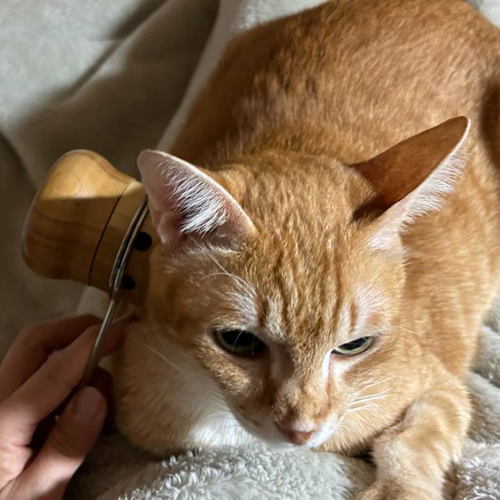 C1822b89 91aa 4740 a461 a848def22d34 1681245440482