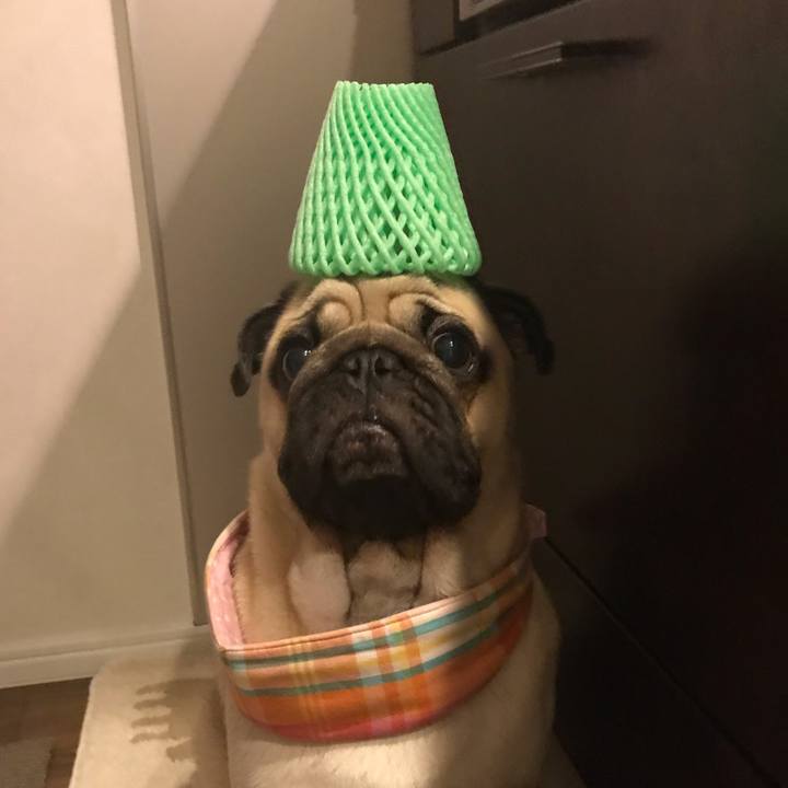 C182a174 3aa7 4aa6 be25 66023ae0ea61 1566211596066