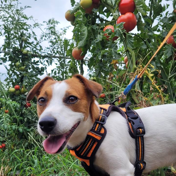 C182ba6b cb5c 4b8f ba4e b9baabdfa9ad 1657174438709