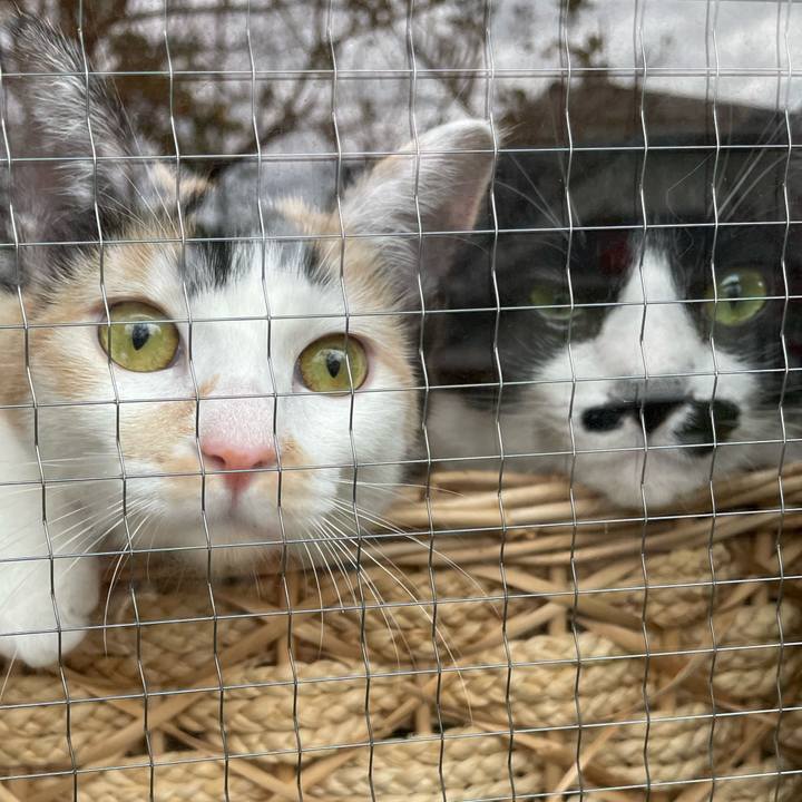 C182d86e ad4f 42f6 95ff 7e0ba96cff8c 1669099738542