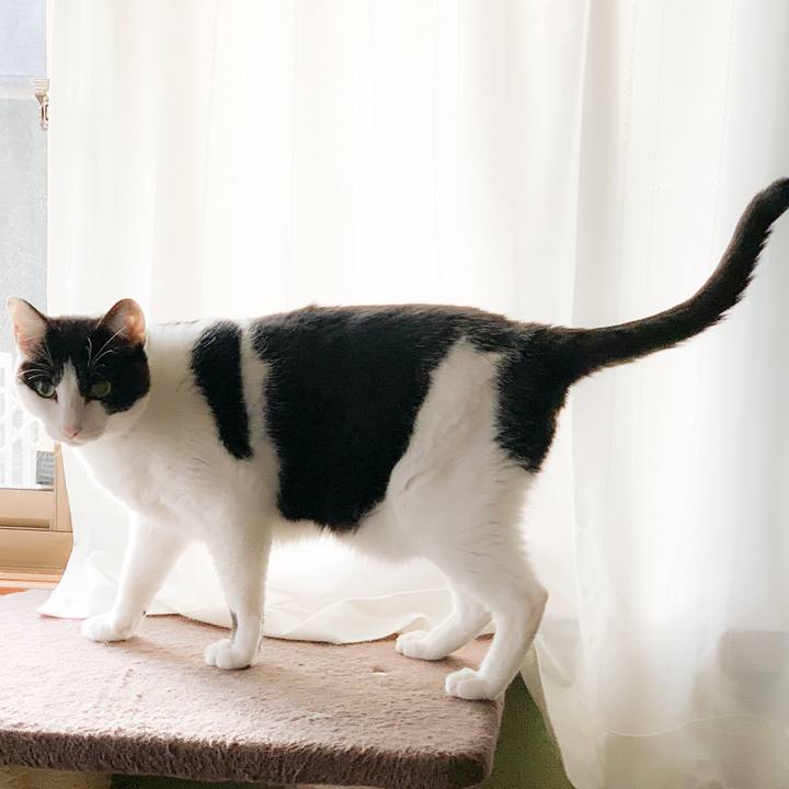 C182dd81 366c 4a65 bb6f 4f4dbf963ac0 1576028312399