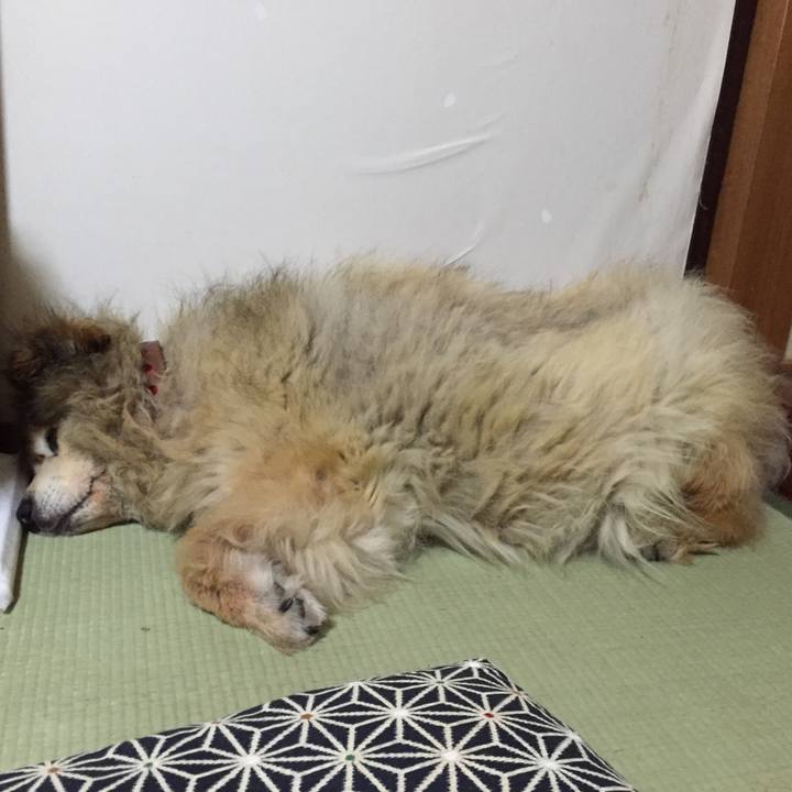 C182ecb7 e180 42e3 bf49 a6f1da27ee59 1550507540881