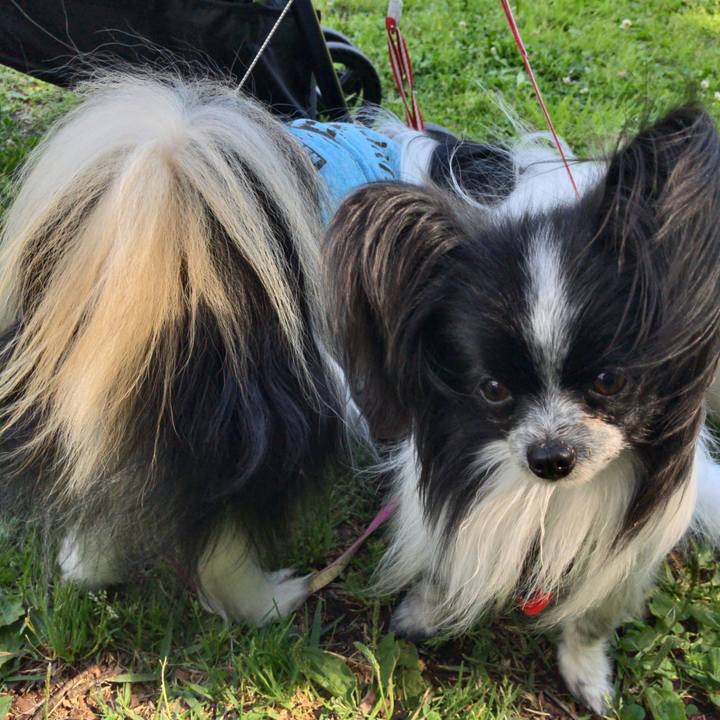 C1830f30 f8cd 4260 8712 ff408b66c60a 1525428792808