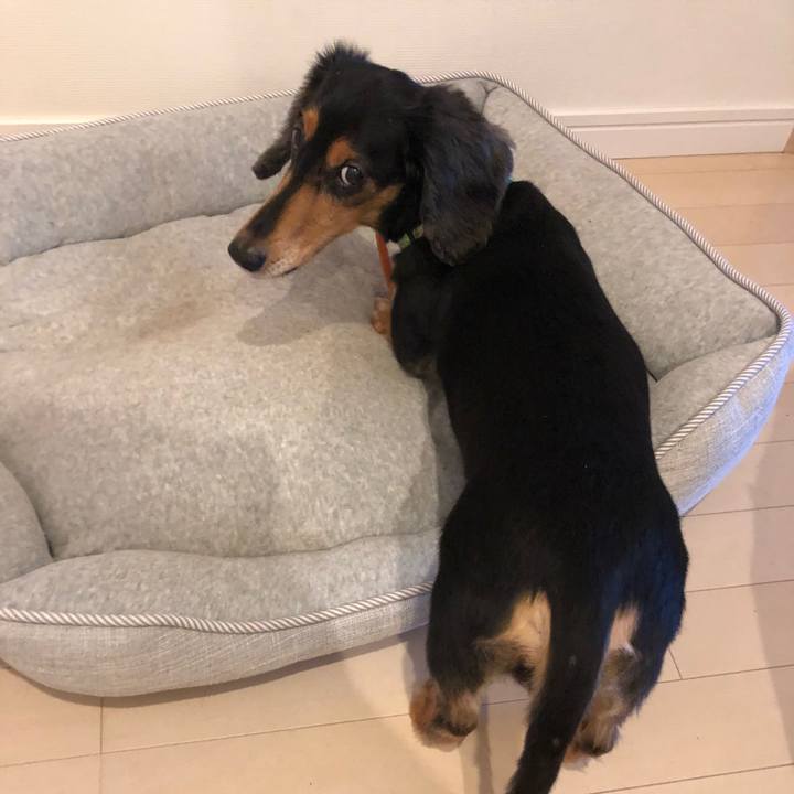 C183a282 8753 402b b9eb 677323f88338 1538435986606