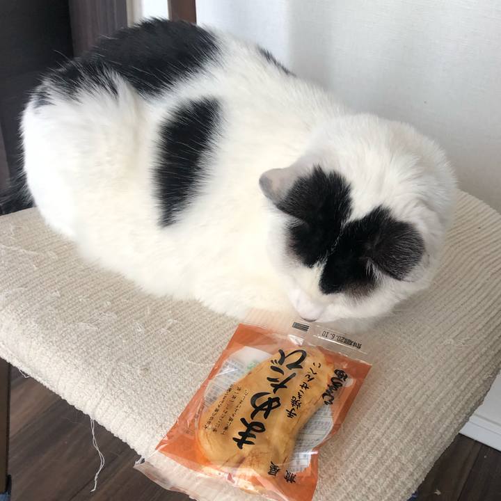 C183a2fb 8014 46c6 a2cd d6a6529f3889 1585974782578