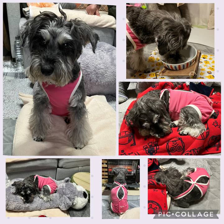 C183a5b9 72dc 4bdc be0c 06ad69dbb9a4 1769869818192