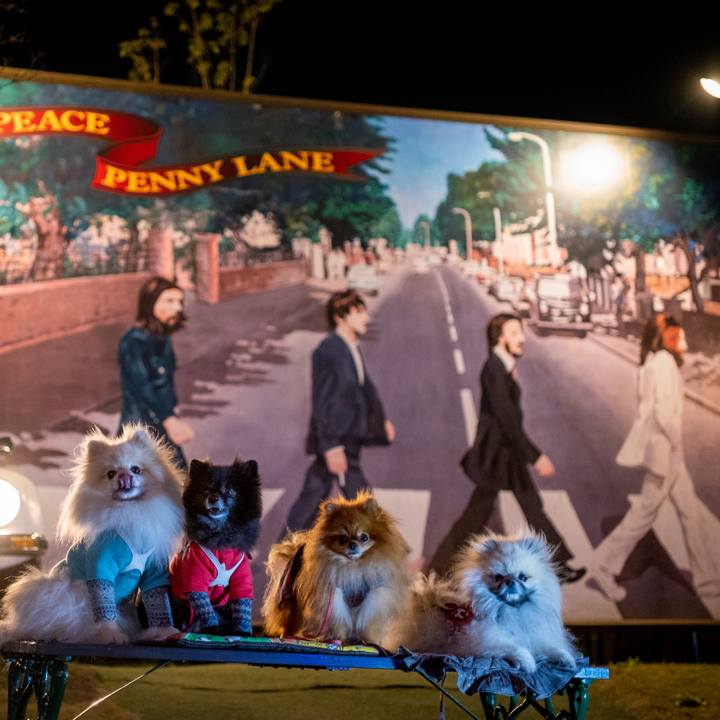 C183cfba 053c 4ca9 a0c8 a57b3102e46f 1576675404579