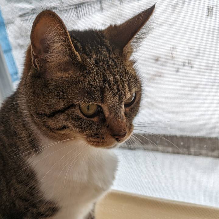 C183d17e 2e4c 4beb 9974 d98ebad62b22 1707182356622